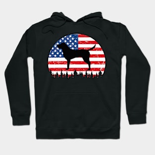 Vintage Retro Labrador American Flag 4th of July Gifts Hoodie